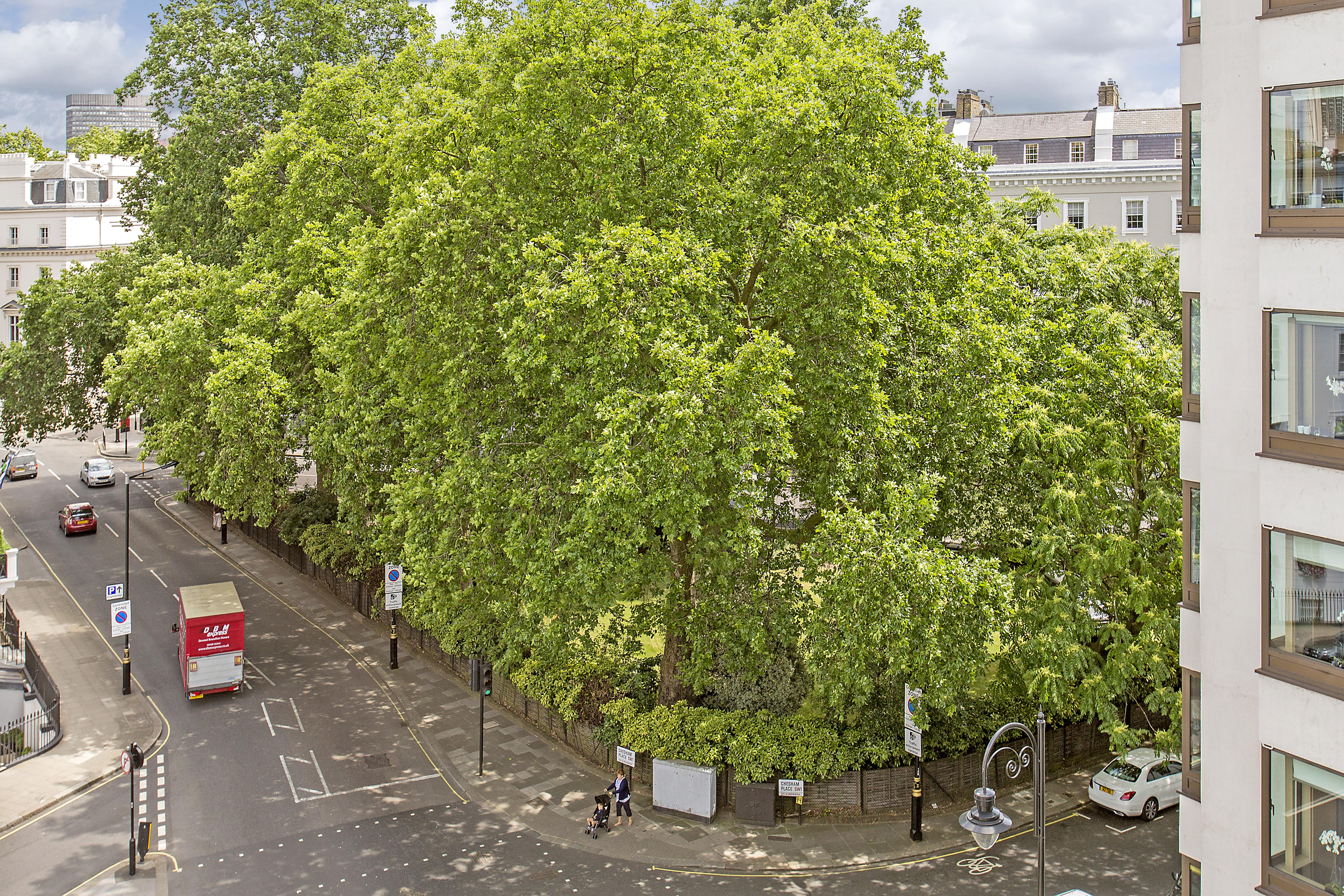 Chesham Court Knightsbridge Aparthotel Лондон Екстериор снимка
